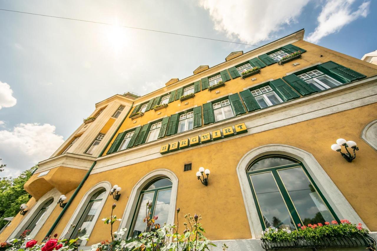 Bergwirt Schönbrunn 3*
