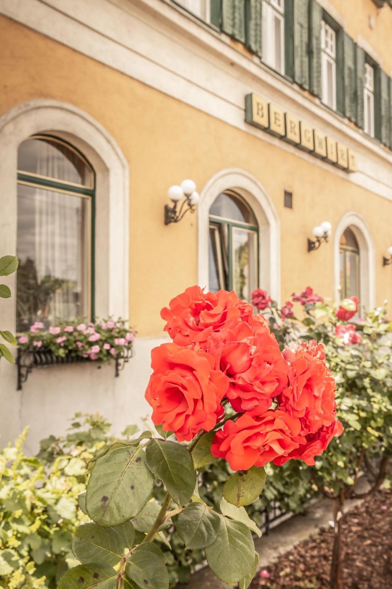Bergwirt Schönbrunn Hotel